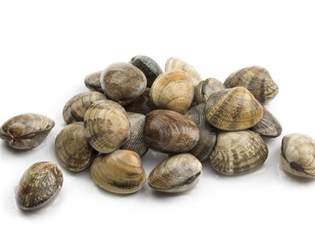 Balık Ye - Vongole 500 gr