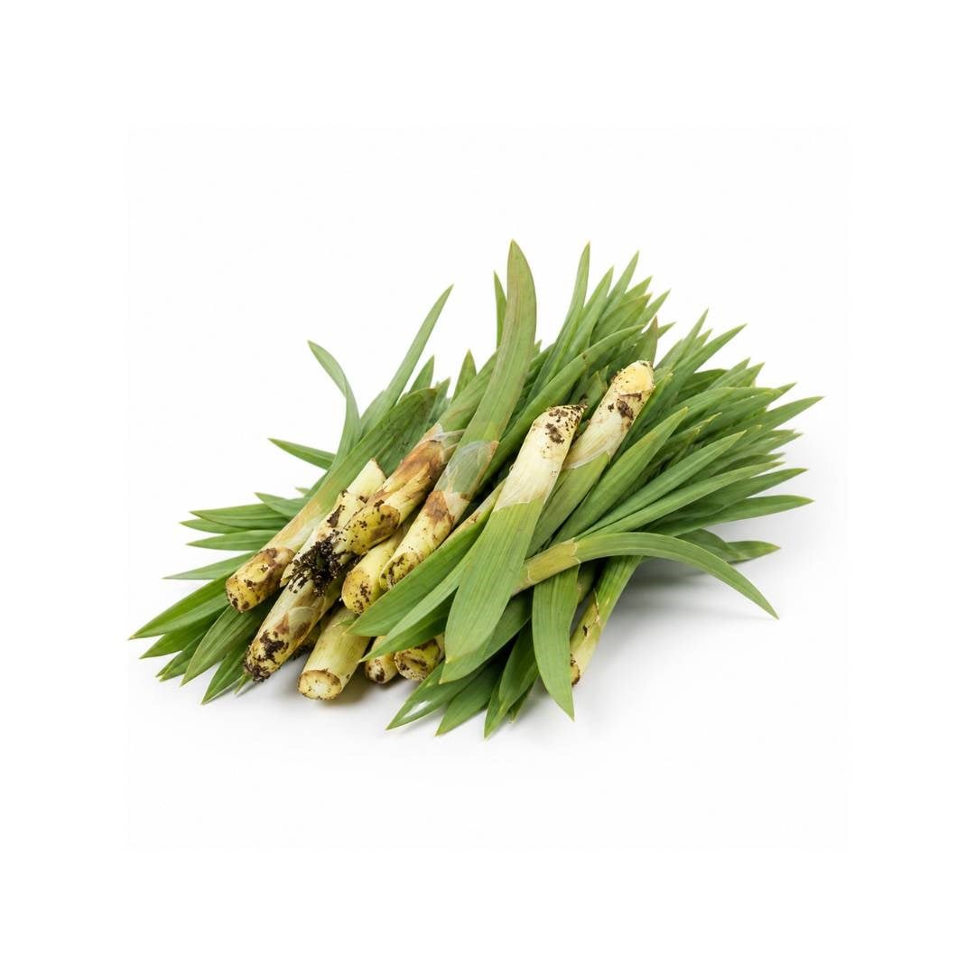 Çiriş Otu 500g