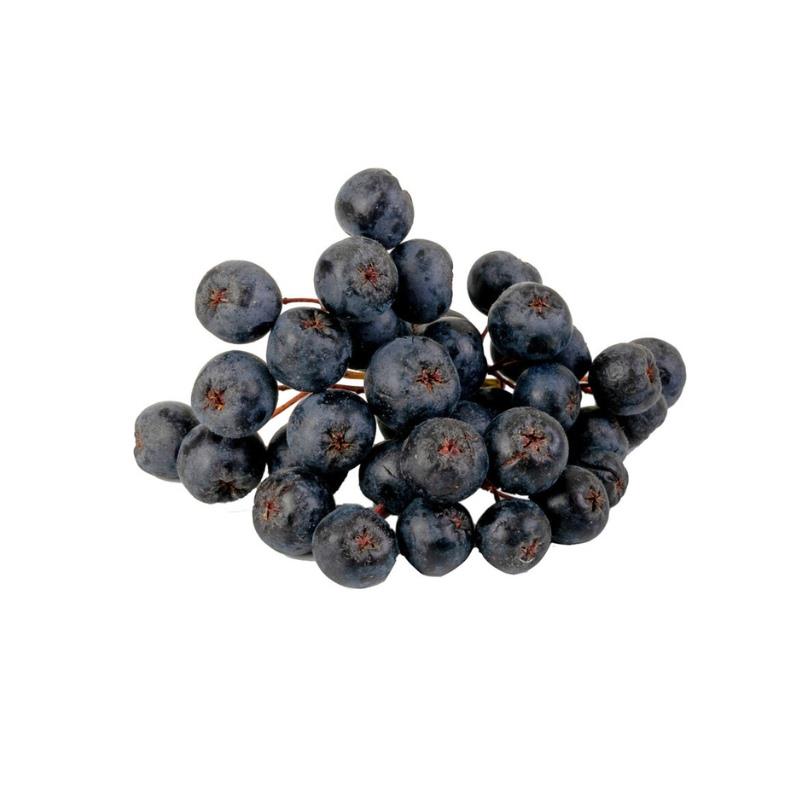 Organik Aronya 250 gr