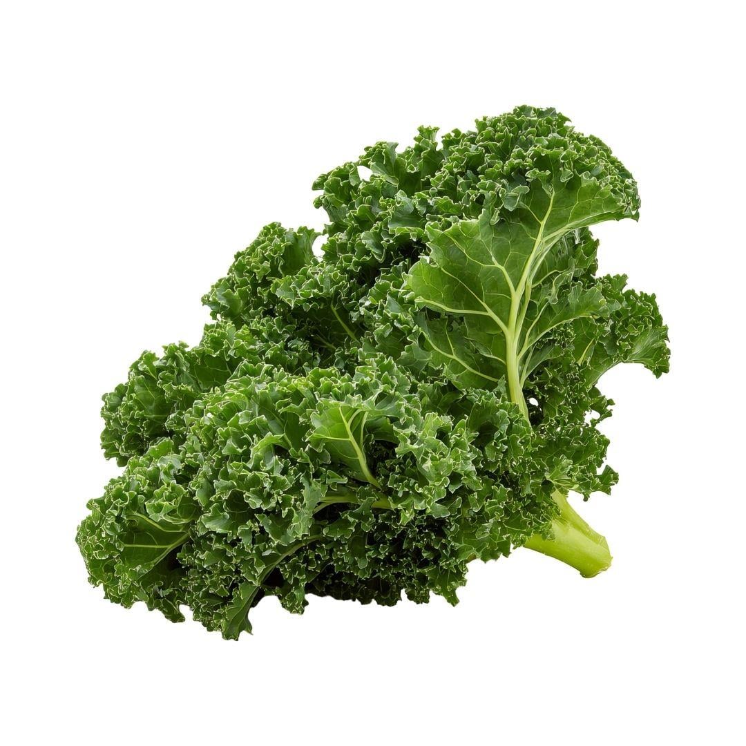 Organik Kale Yaprağı 400 gr