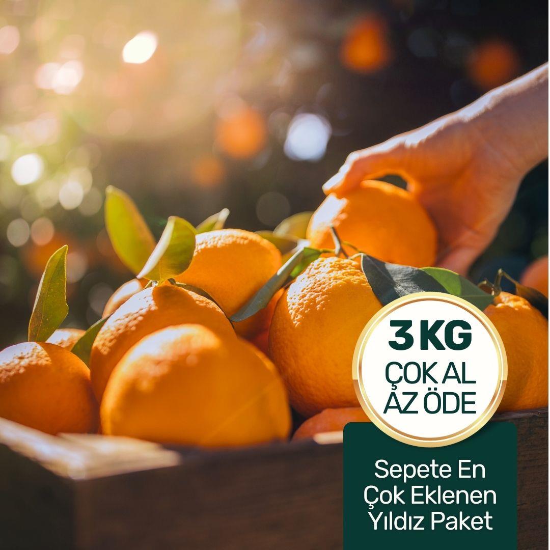 Organik Sıkmalık Portakal Paketi 3 Kg