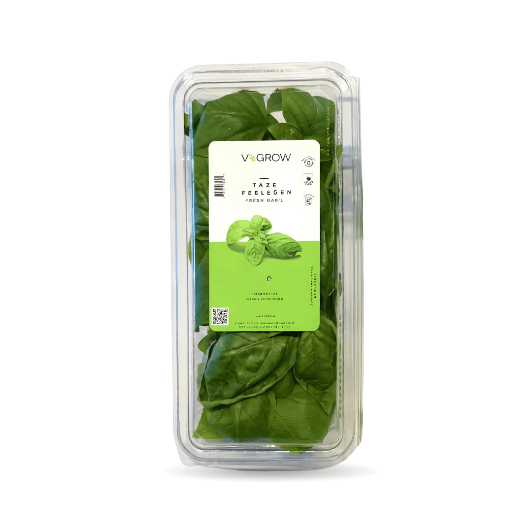 Taze Fesleğen 25 gr - Vgrow