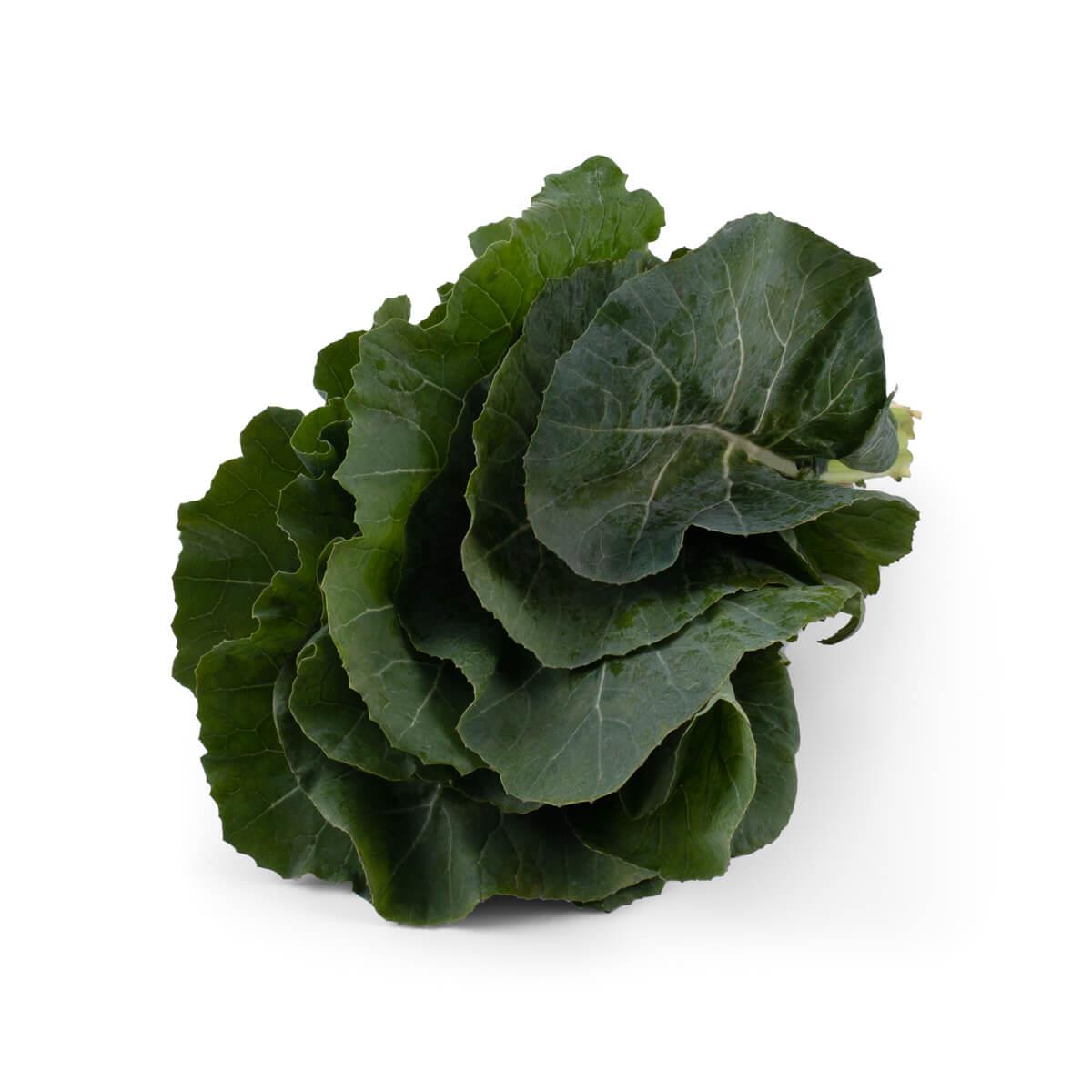 Yerli Karalahana Bağ