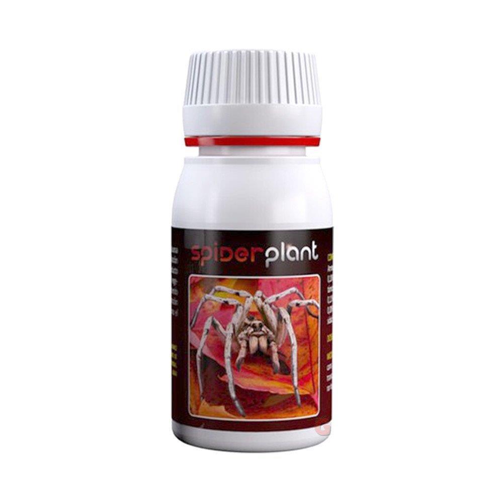 Agrobacterias Spider Plant 60 ml