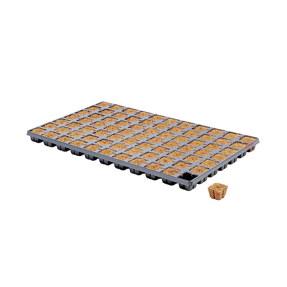 Eazy Plug 150 Tohum Ekim Viyolü