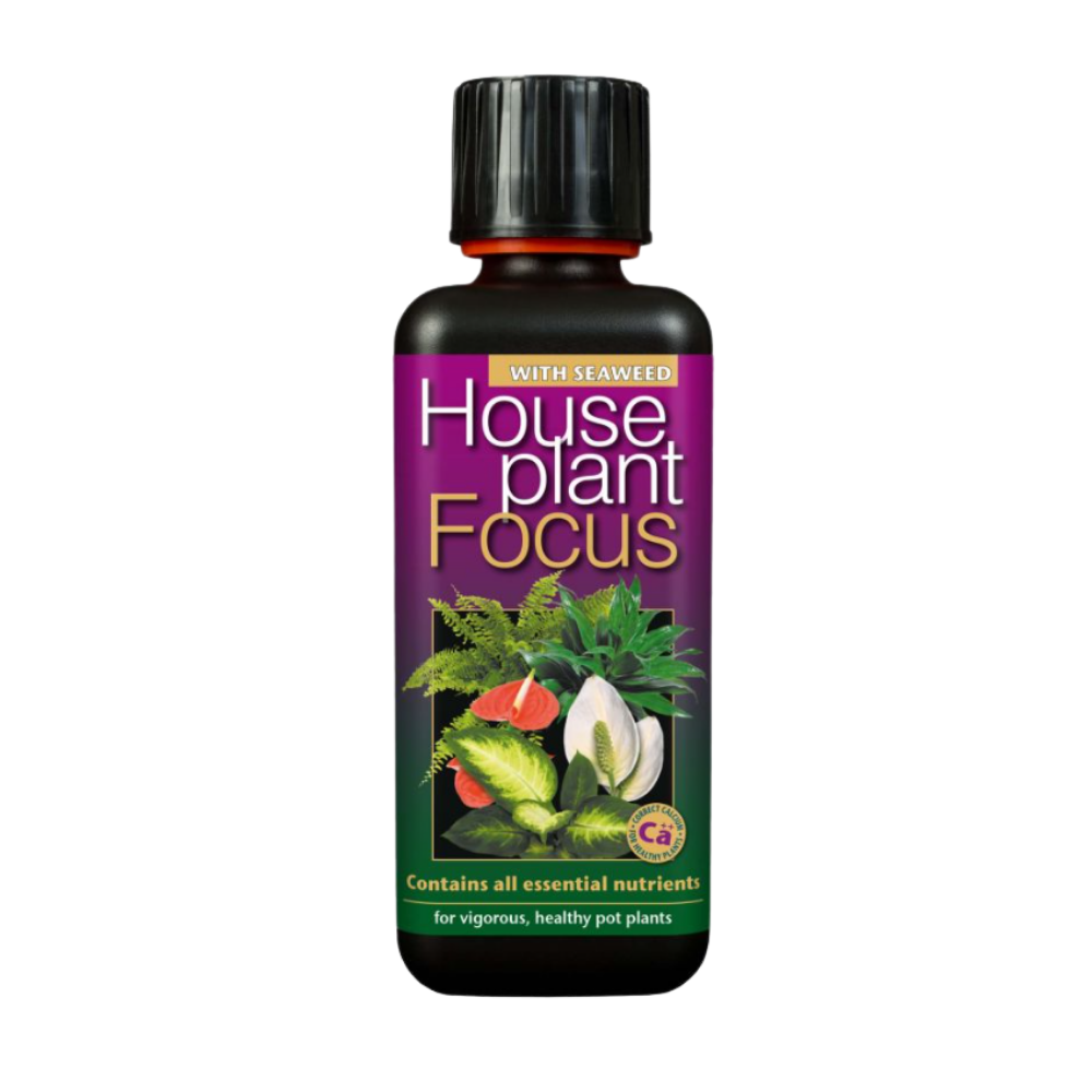 Growth Technology HousePlant Focus 300 ml