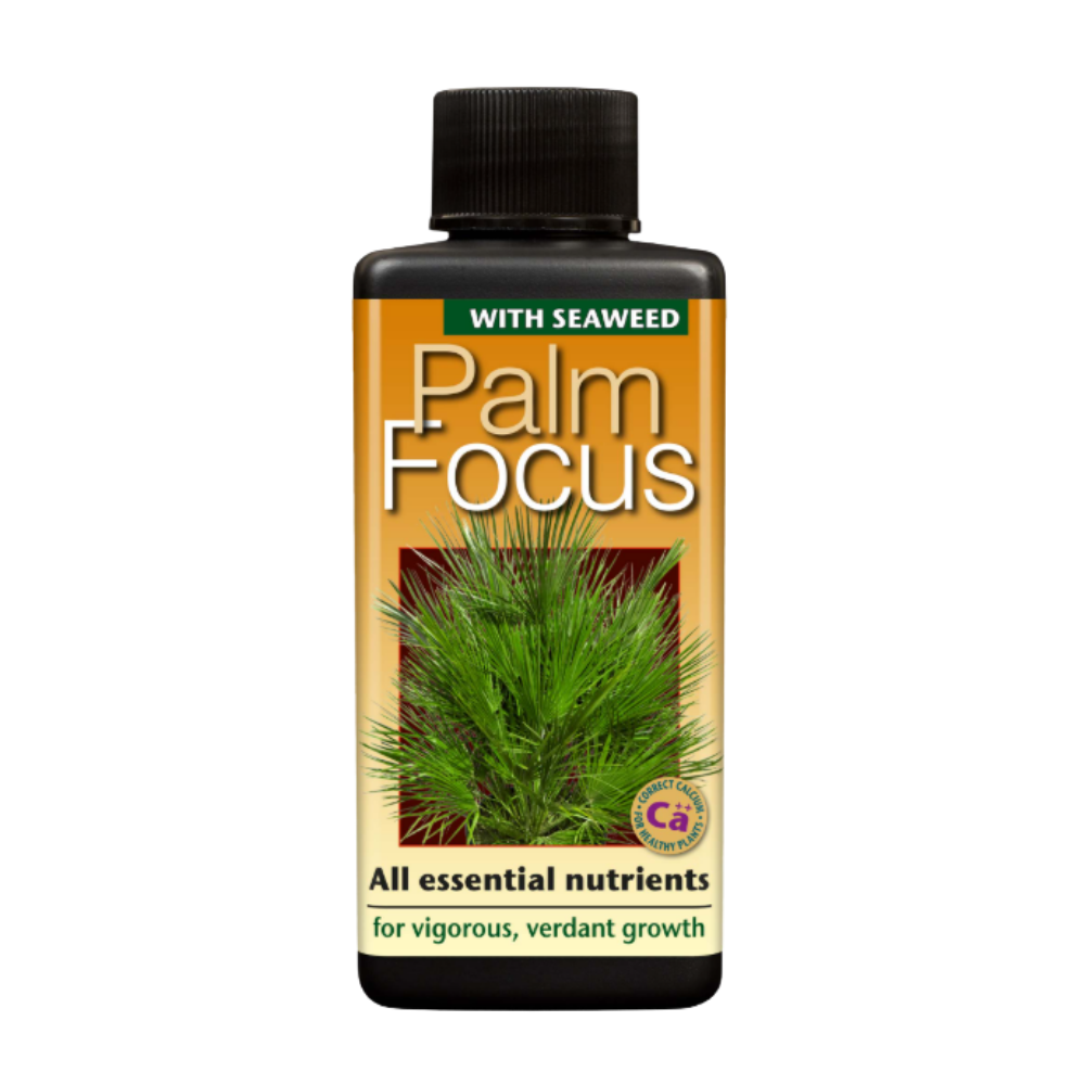 Growth Technology Palm Focus 1 Litre