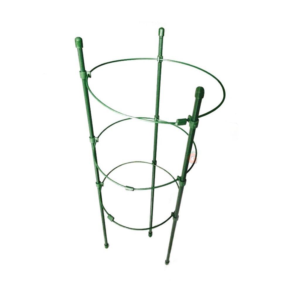 Halkalı Bitki Destek Çubuğu 75 cm