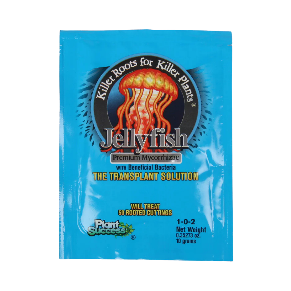 Jellyfish 10 g (Outlet)