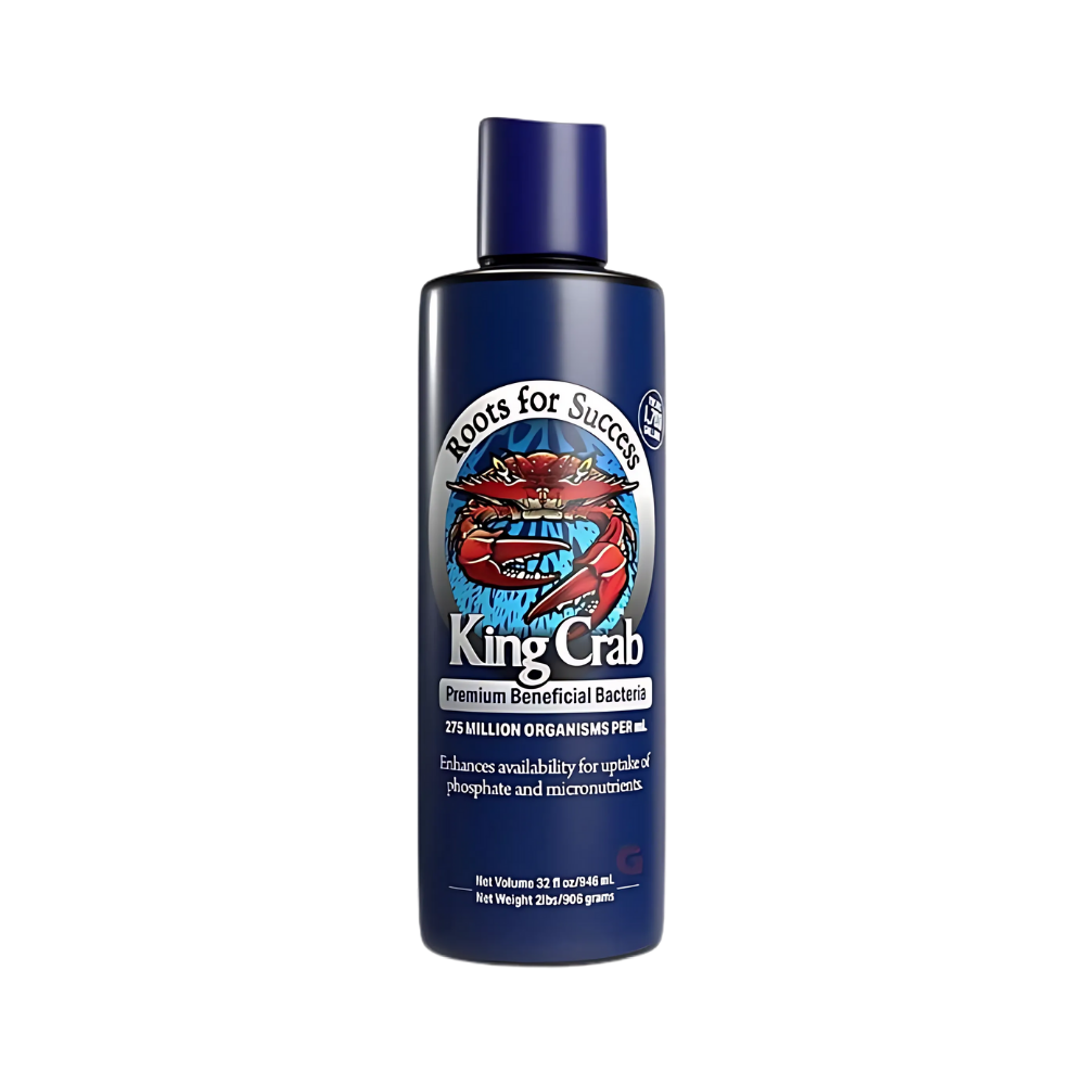 King Crab 473 ml
