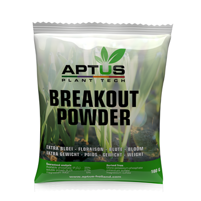 Aptus Breakout Powder 100 g