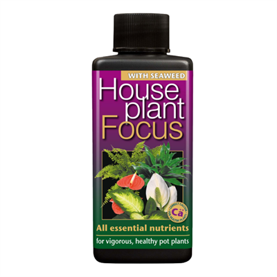 Growth Technology HousePlant Focus 1 Litre