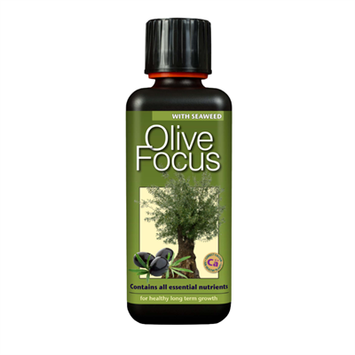 Growth Technology Olive Focus 1 Litre