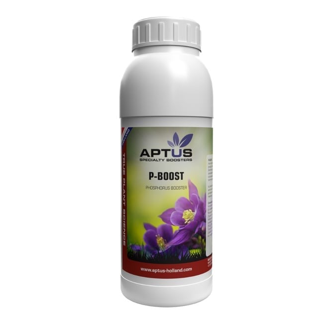 Aptus P Boost 500 ml (Outlet)