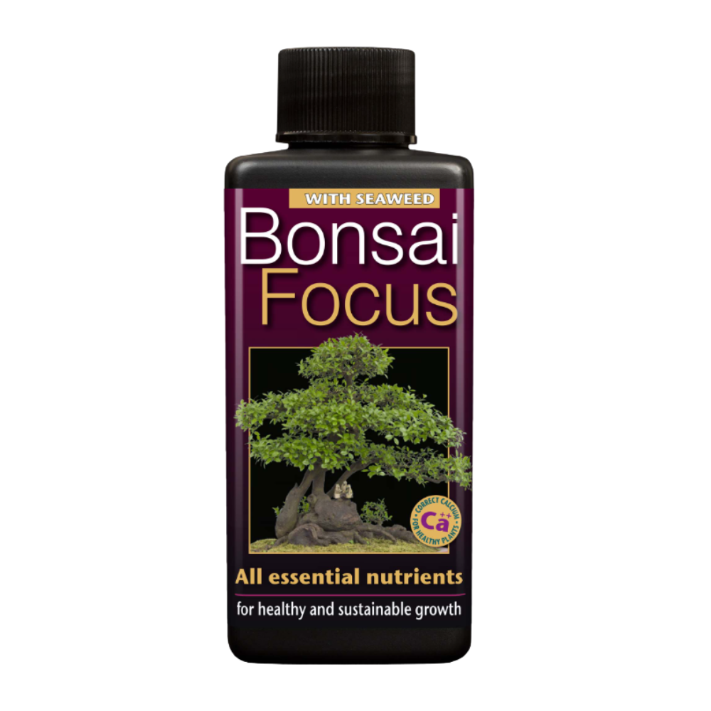 Growth Technology Bonsai Focus 300 ml