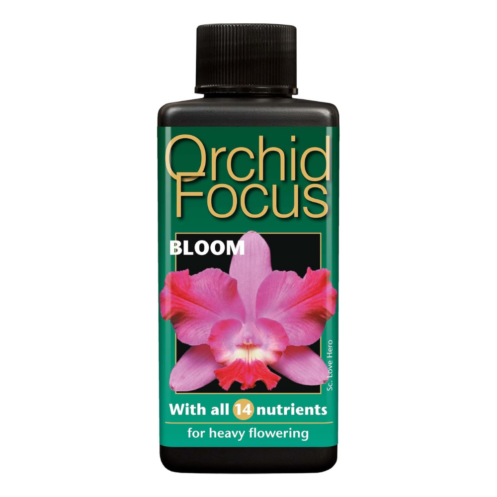 Growth Technology Orchid Focus Bloom 1 Litre
