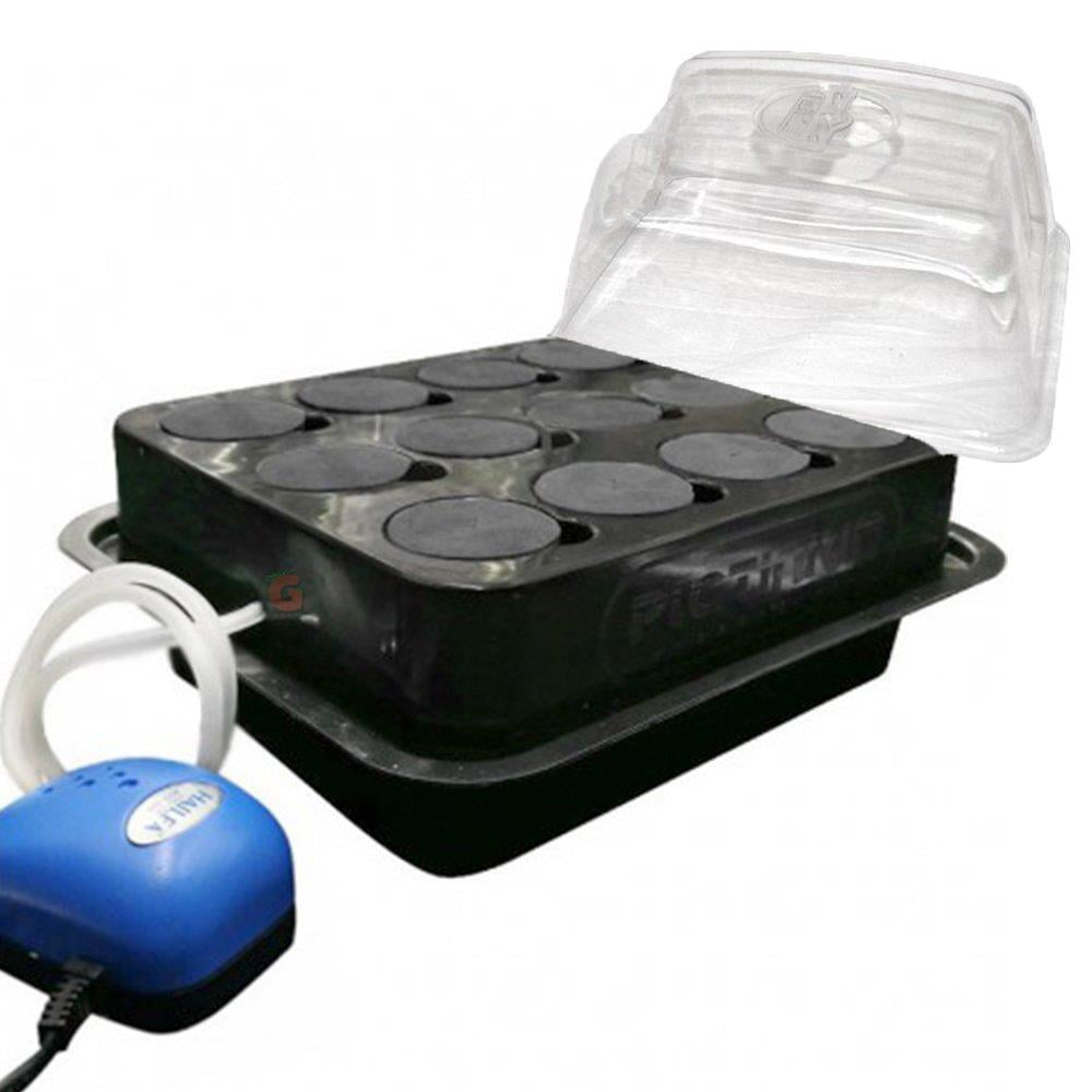 Platinium DWC Cloner 12 Bitki