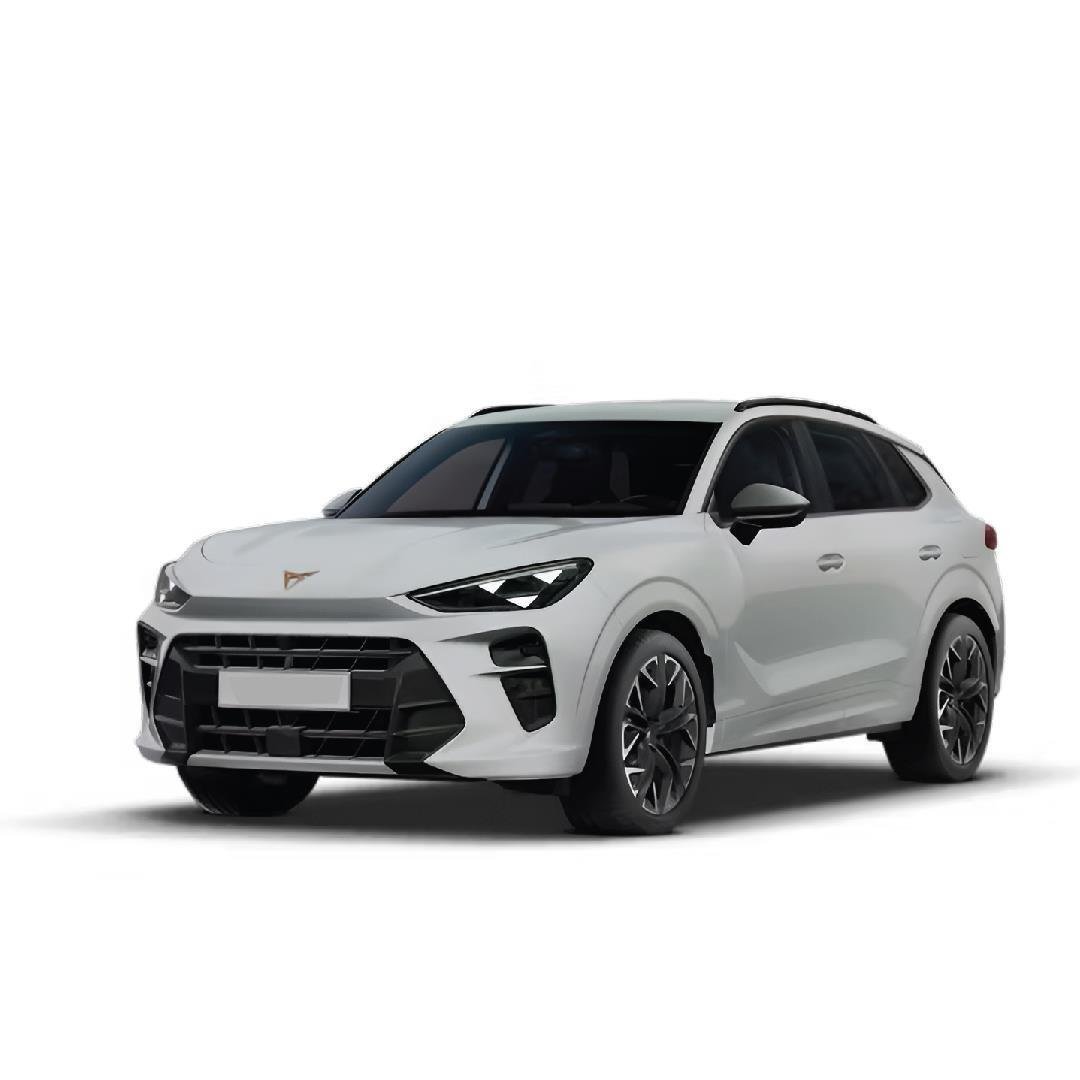 Cupra Terramar Halı Bagaj Havuzu (2025 ve Sonrası)