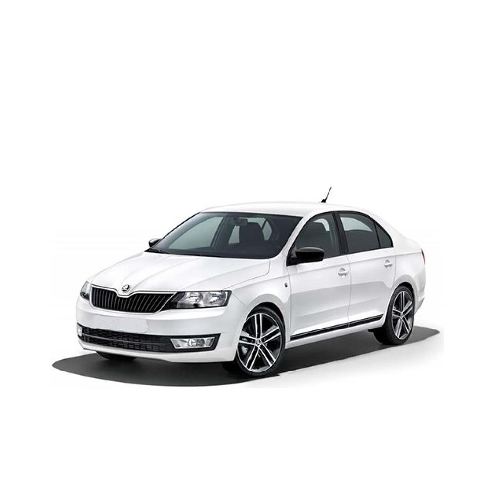 Skoda Rapid Halı Bagaj Havuzu