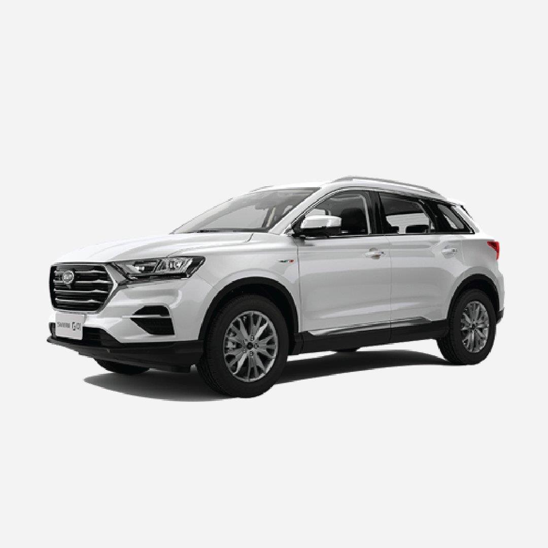 SWM G01 ve G01F HALI BAGAJ HAVUZU