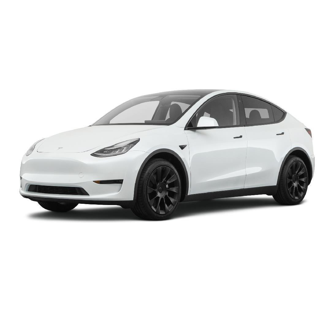 Tesla Y Model Arka Halı Bagaj Havuzu (2019 - 2024 Arası)