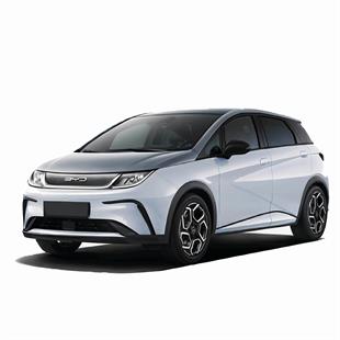 BYD Dolphin Halı Bagaj Havuzu (2025 ve Sonrası)