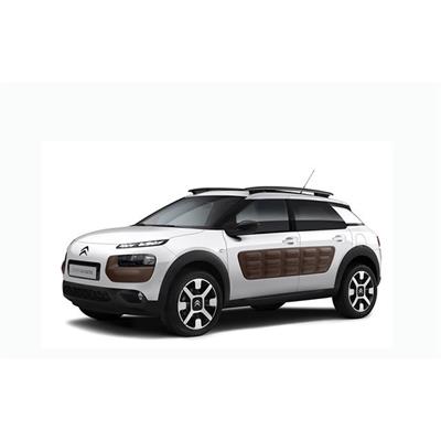 Citroen C4 Cactus Halı Bagaj Havuzu