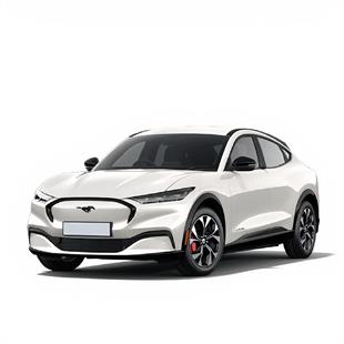 KAMPANYALI - Ford Mustang Mach E 2024 ve Sonrası Halı Bagaj Havuzu