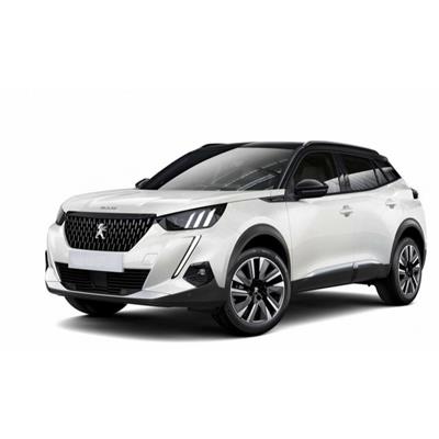 Peugeot 2008 Alt Raf Halı Bagaj Havuzu (2020 Sonrası)