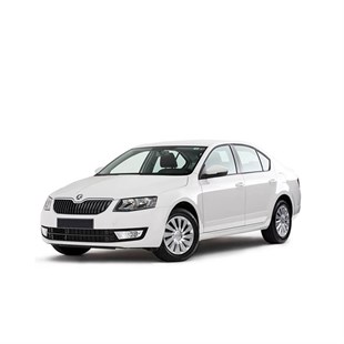 KAMPANYALI - Skoda Octavia III Halı Bagaj Havuzu (2013-2020 Arası)