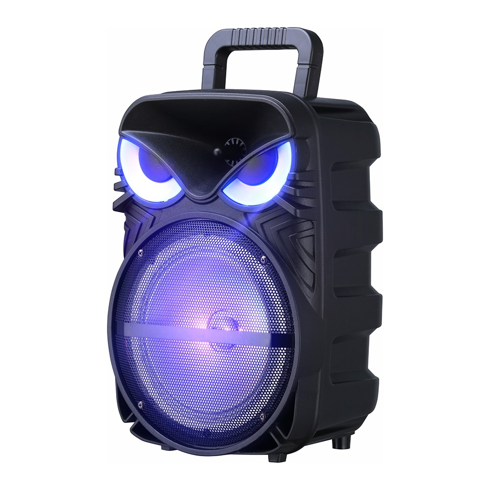 Zore PK-17 FM Radyolu Mikrofonlu RGB TWS 8 inç Stereo Bass Kablosuz Karaoke Hoparlör