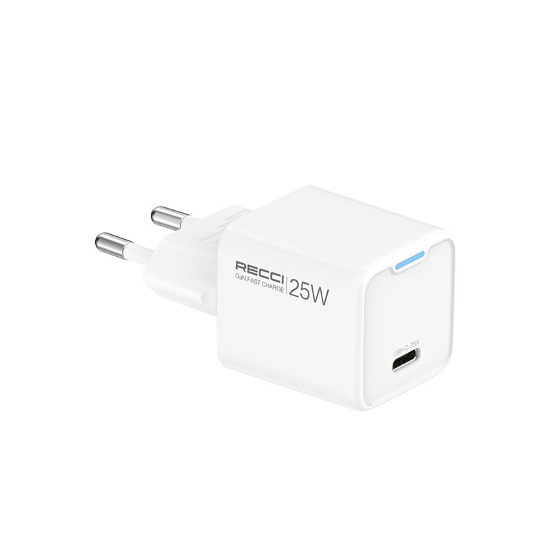 Recci RC106E GaN Teknolojili Hızlı Şarj Başlığı Type-C to Type-C PD 25W Kablolu Şarj Seti