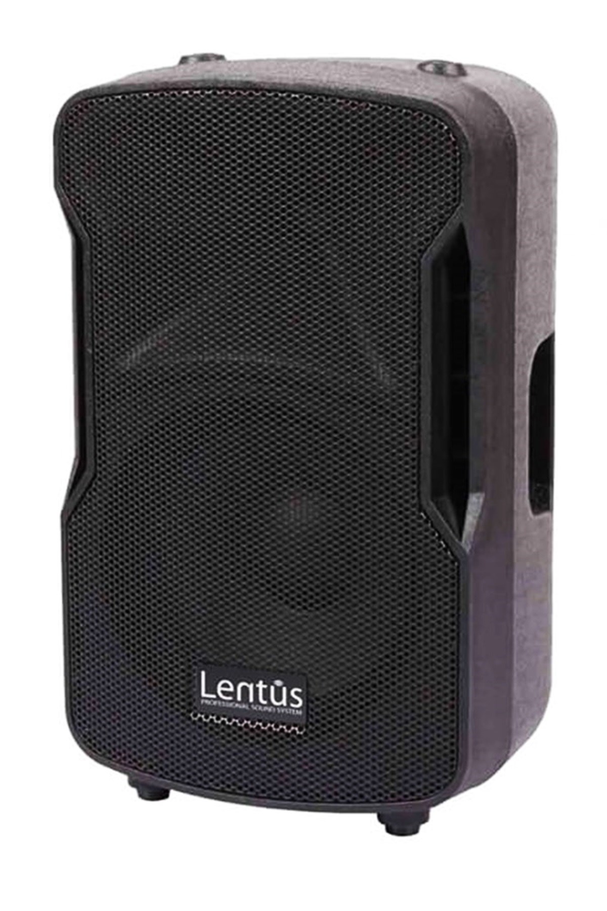 Lentus Lsp-10 İki Yollu Kabin Hoparlör 10'' 25 Cm 600W