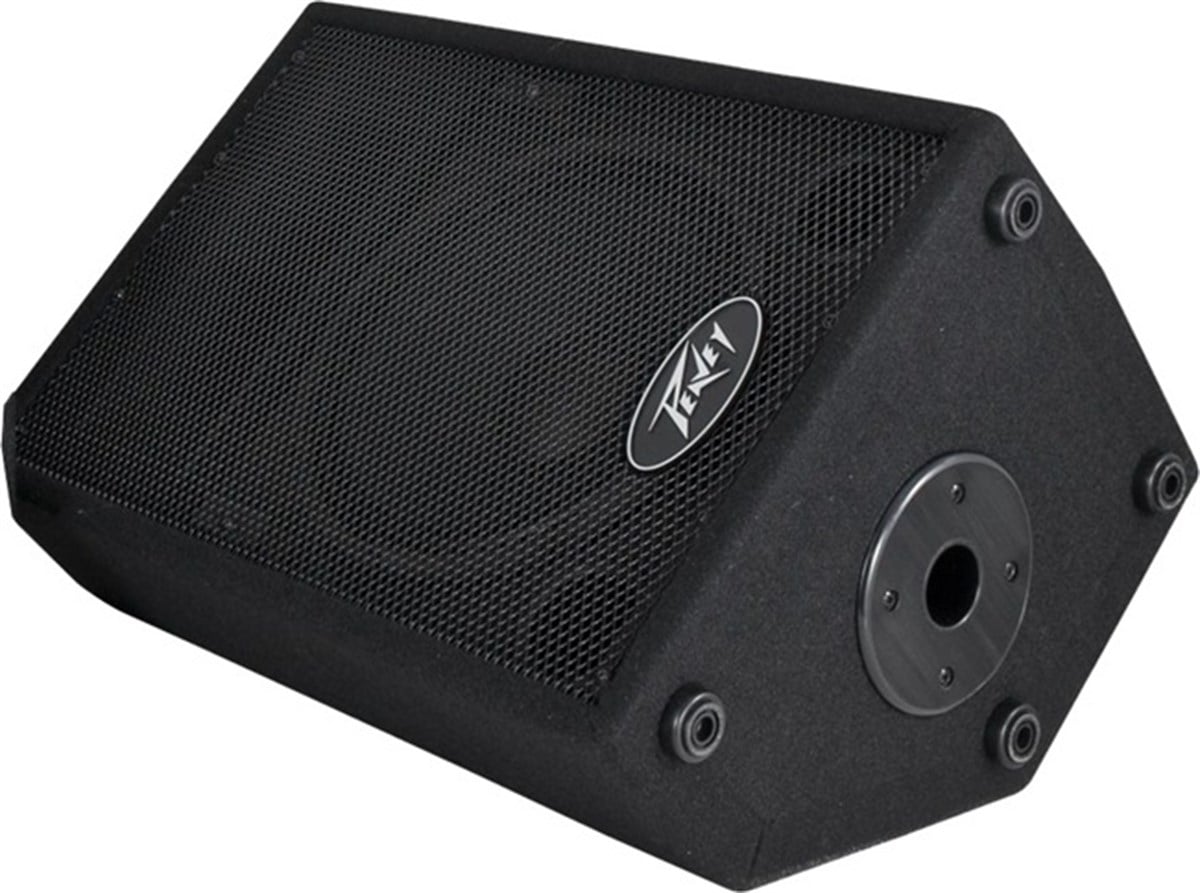 Peavey  PVi 10 10 