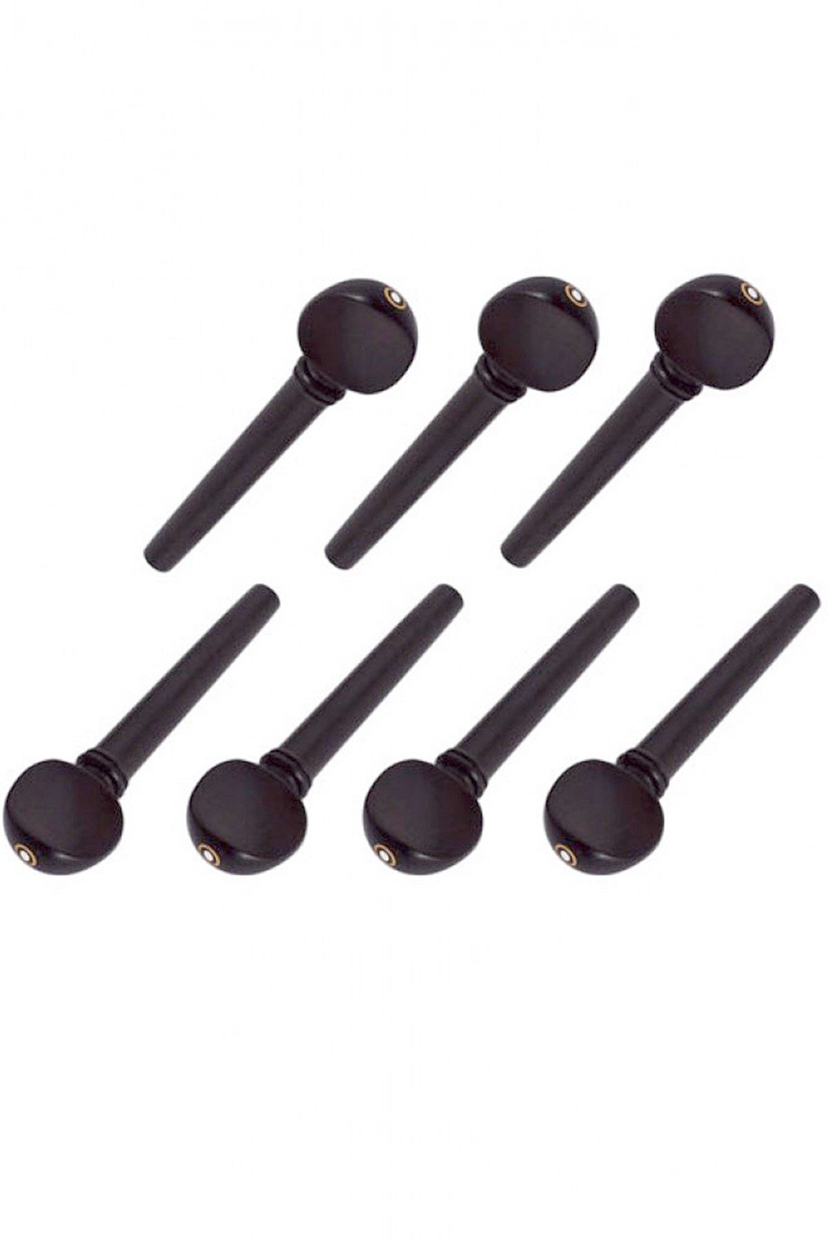 Saz Burgusu Abanoz Ağacı 7Adet