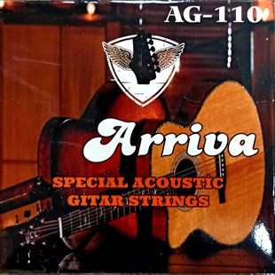 Arriva AG110 Akustik Gitar Tel Seti