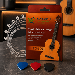Florancia FG-100 Klasik Gitar Tel Seti