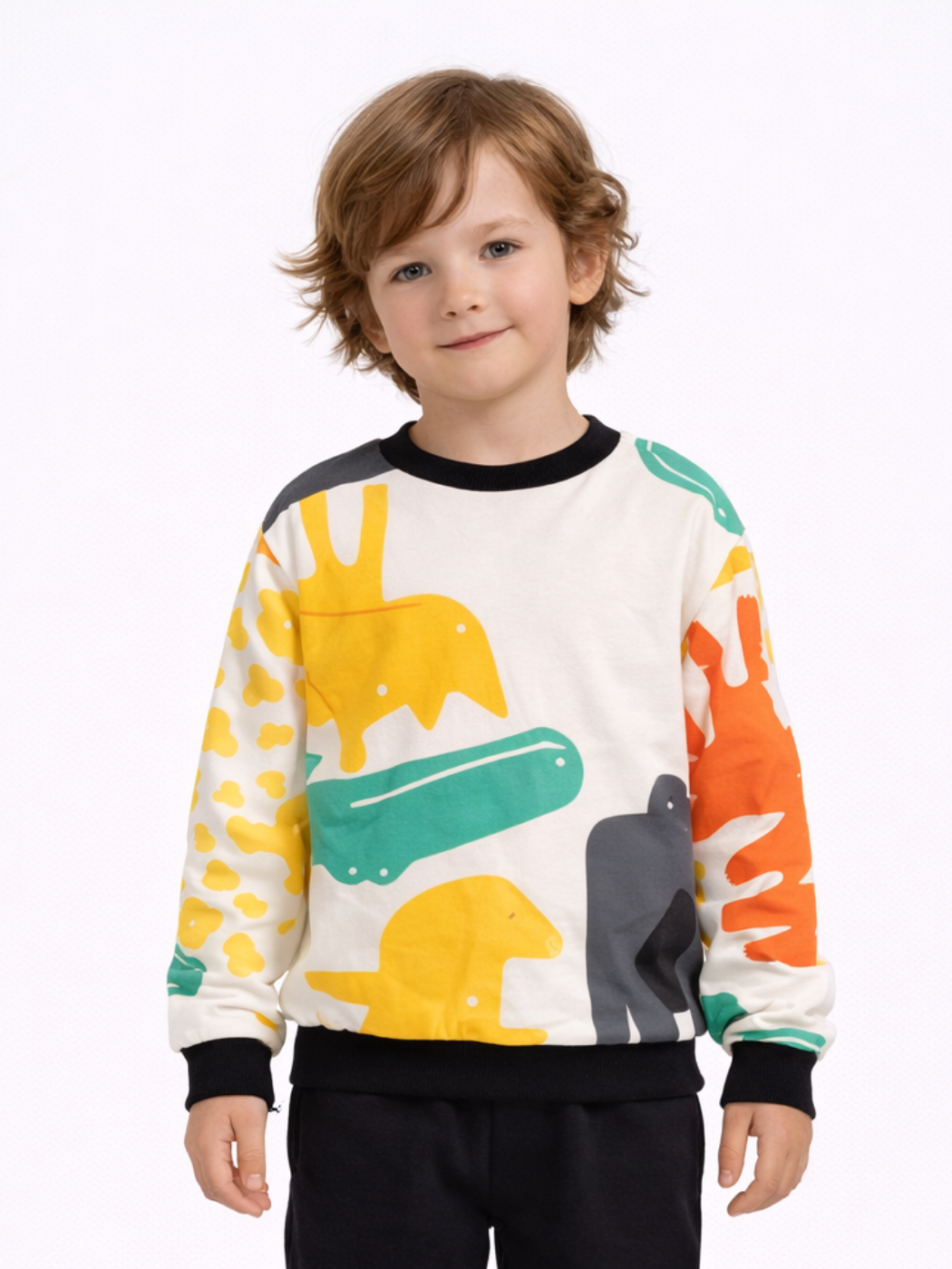 Dinos Baskılı Erkek Çocuk SweatShirt