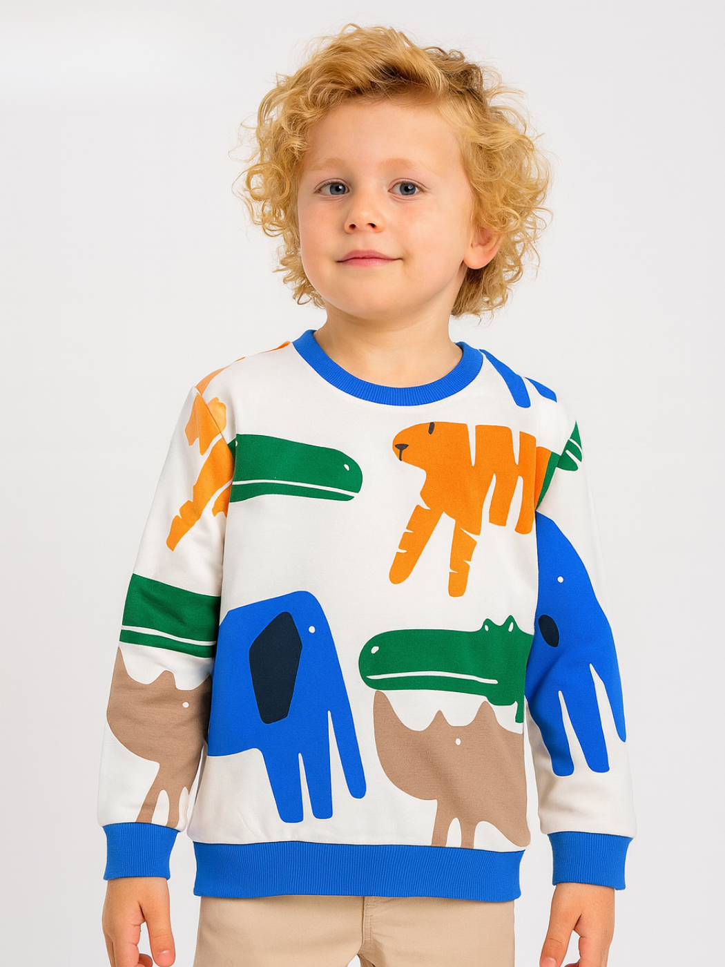 Dinozorlar Erkek Çocuk Sweatshirt