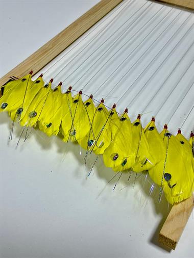 Palamut Çaparisi -Sarı Tüy