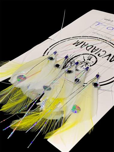 Tüy Çapari Sarı Üstü Beyaz Çapari