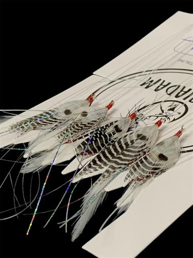 Tüy Çapari Siyah Beyaz