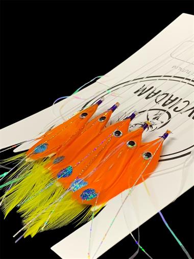 Tüy Çapari Turuncu