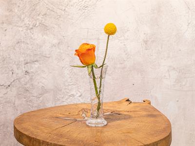 Acoral ВАЗА Cam 5,3x5,3x15 cm Transparent