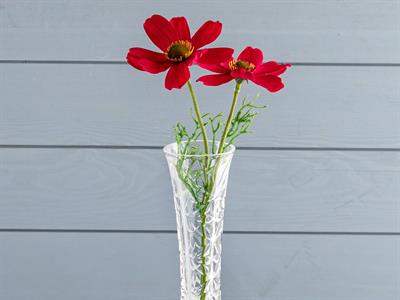 Acoral ВАЗА Cam 5,3x5,3x15 cm Transparent