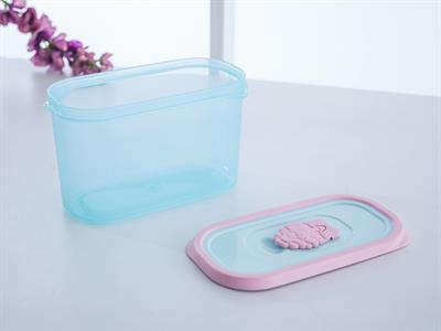 Amy КУТИЯ ЗА СЪХРАНЕНИЕ Пластмасов 1L Mint