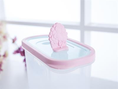 Amy КУТИЯ ЗА СЪХРАНЕНИЕ Пластмасов 2L Mint