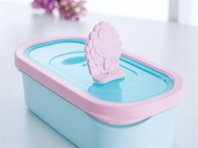 Amy КУТИЯ ЗА СЪХРАНЕНИЕ Пластмасов 450 ml Mint