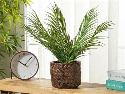 Areca Изкуствено Цвете Във Ваза Зелено, 16 X 56 Cm