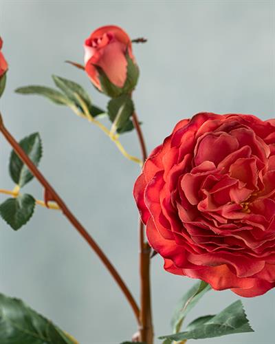 Autumn Rose Изкуствено Цвете Един Стрък 52 см Червен